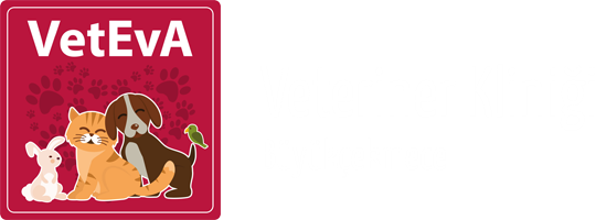 VetEva Veteriner Kliniği